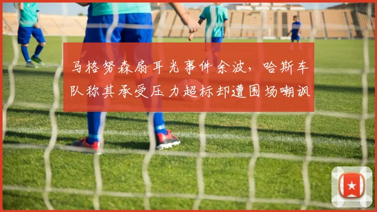 马格努森扇耳光事件余波，哈斯车队称其承受压力超标却遭围场嘲讽